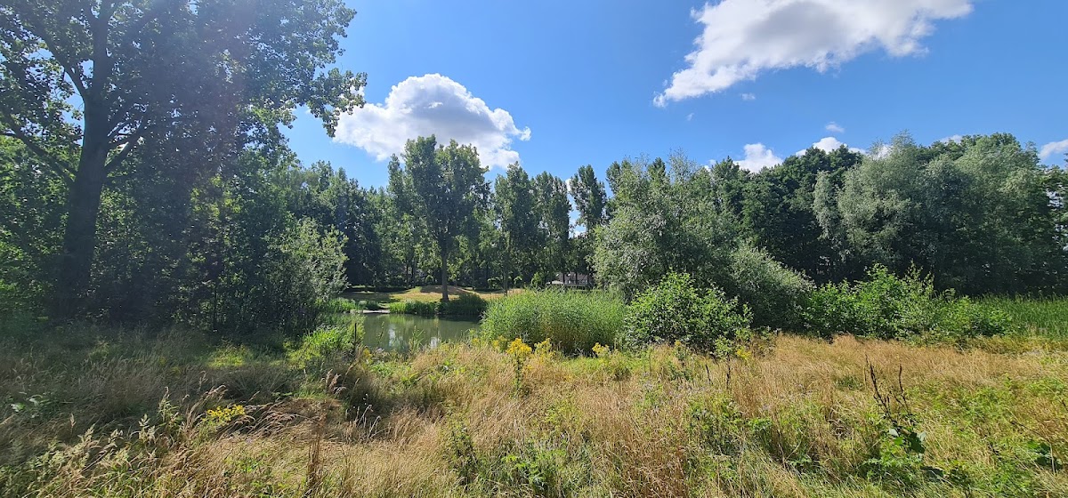 De Edelvijver in Oss — natuurgebied met vijver