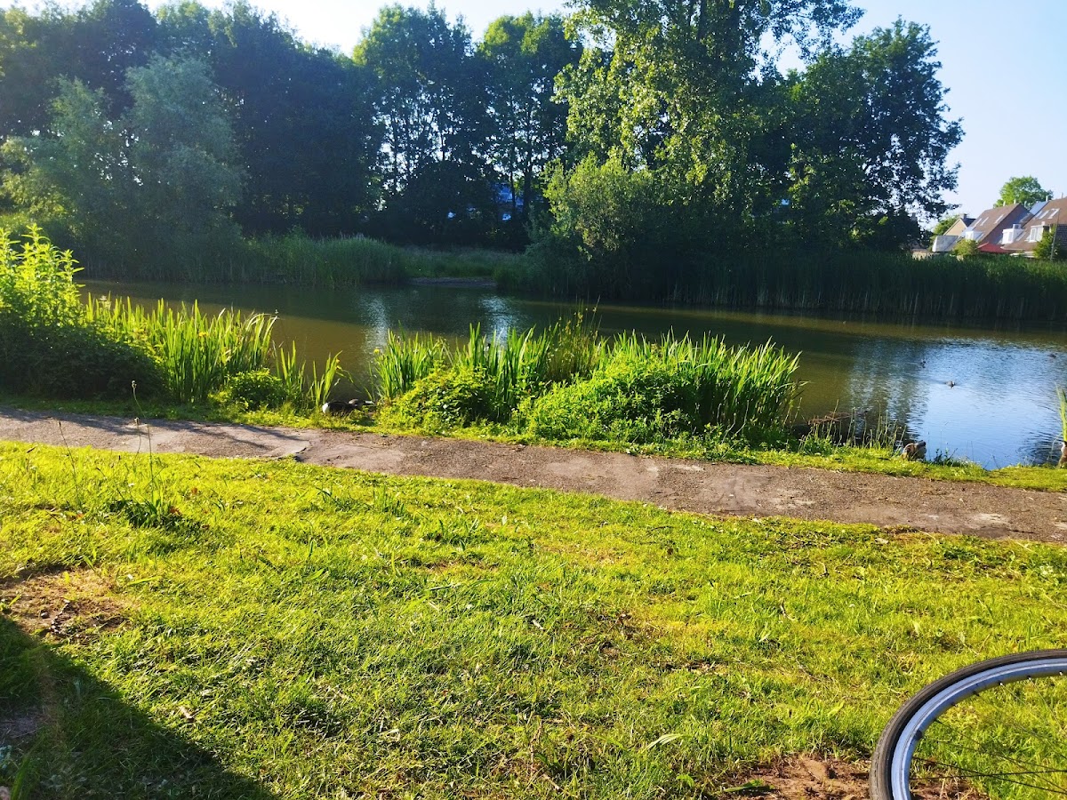 Natuur De Edelvijver Oss